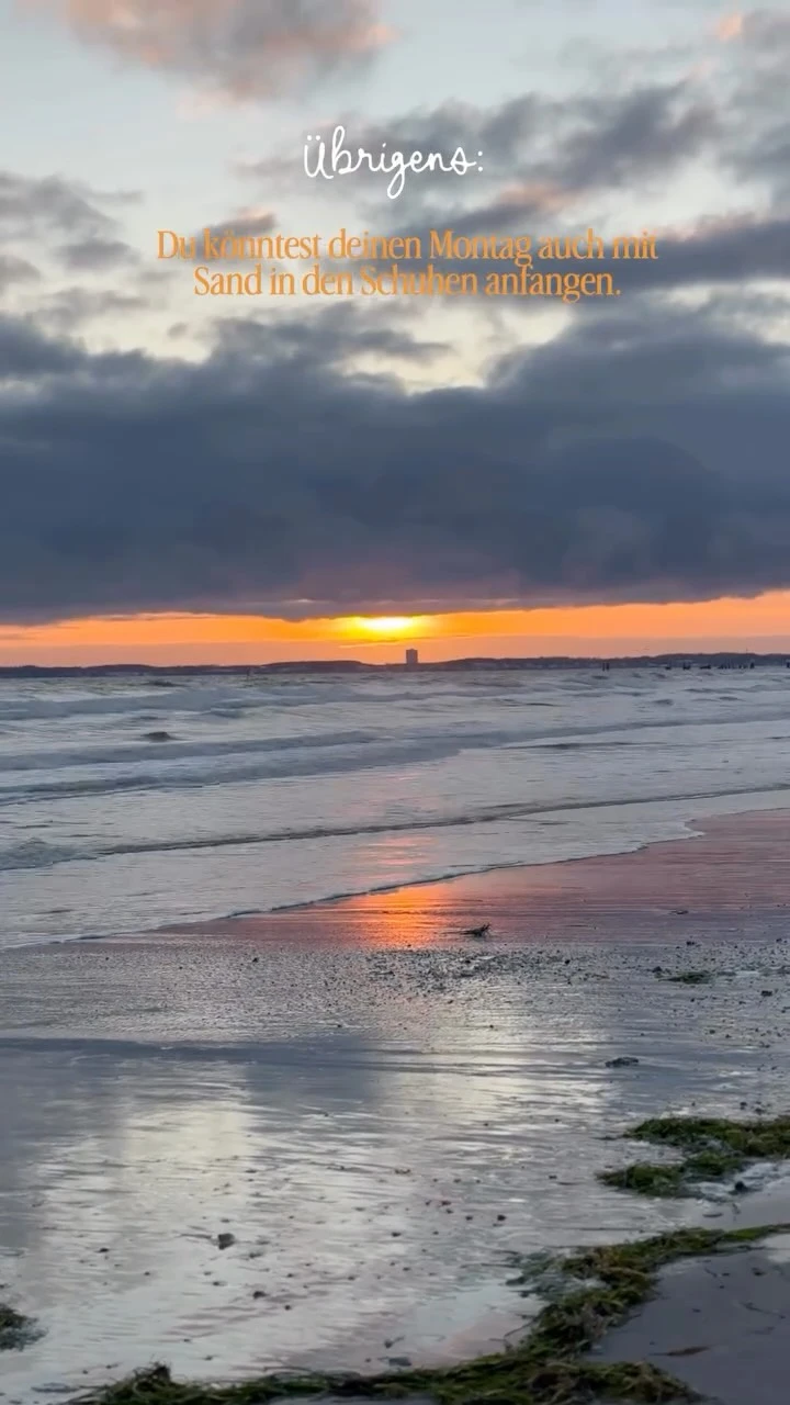 Montag im Büro oder mit Sand in den Schuhen? 👀🌊

Der nächste Montag kommt sowieso. Warum also nicht mal mit Meeresrauschen statt Montagsstress? 🤍

Manchmal reichen schon ein paar Tage Ostsee, um&hellip;