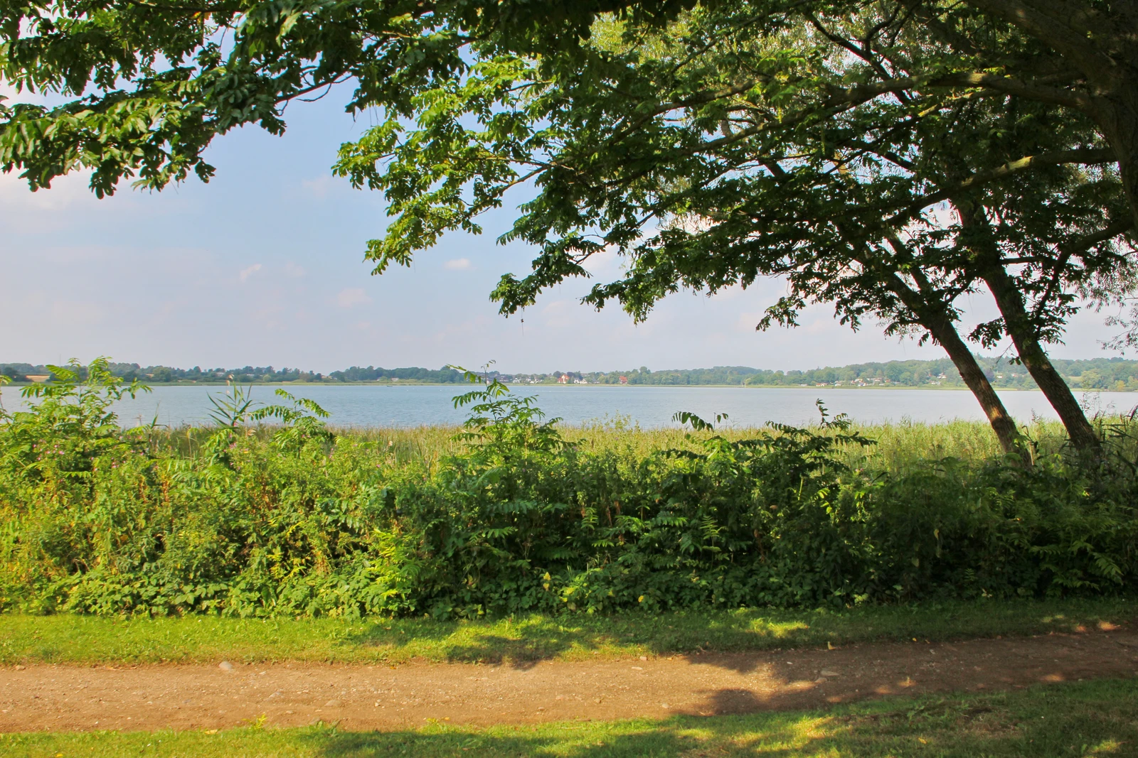 Blick_auf_den_gro__ssen_Poenitzer_See.JPG