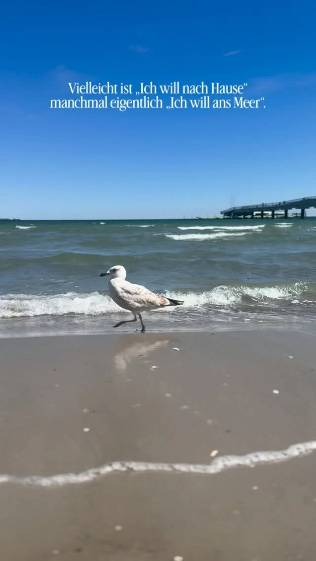 Ist es dein „VIELLEICHT“ ? 🫠🌊🩵